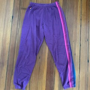 aviator nation sweatpants (small)